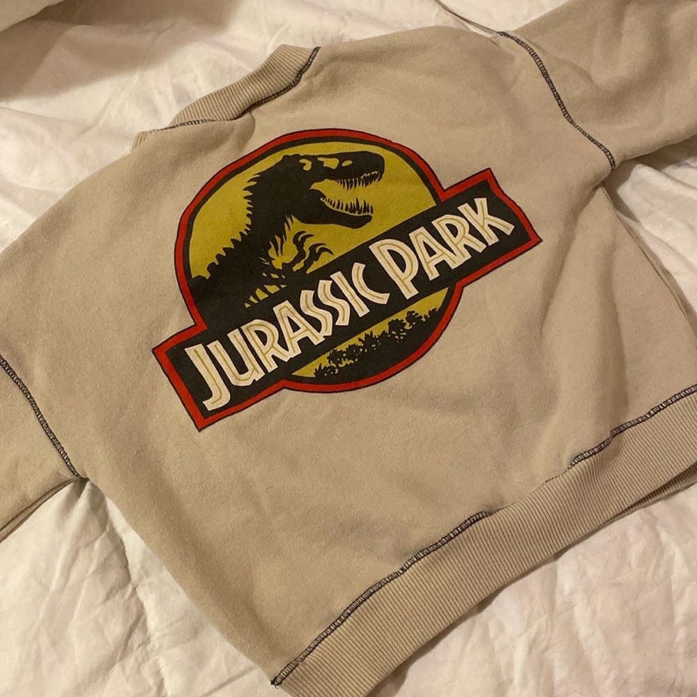 Zara toddler Jurassic park crew sweater